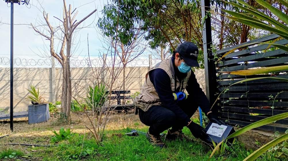 Desratización profesional: técnico de Groupest instalando una estación de cebo rotulada en el perímetro de una vivienda