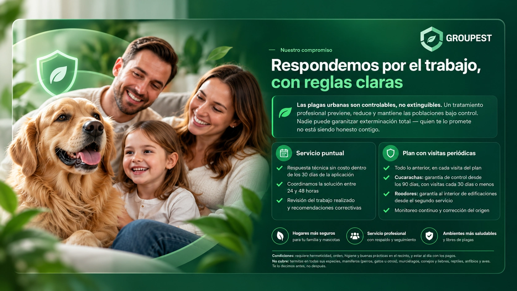 Groupest: nuestro compromiso con tu familia y mascotas. Respondemos por el trabajo, con reglas claras.